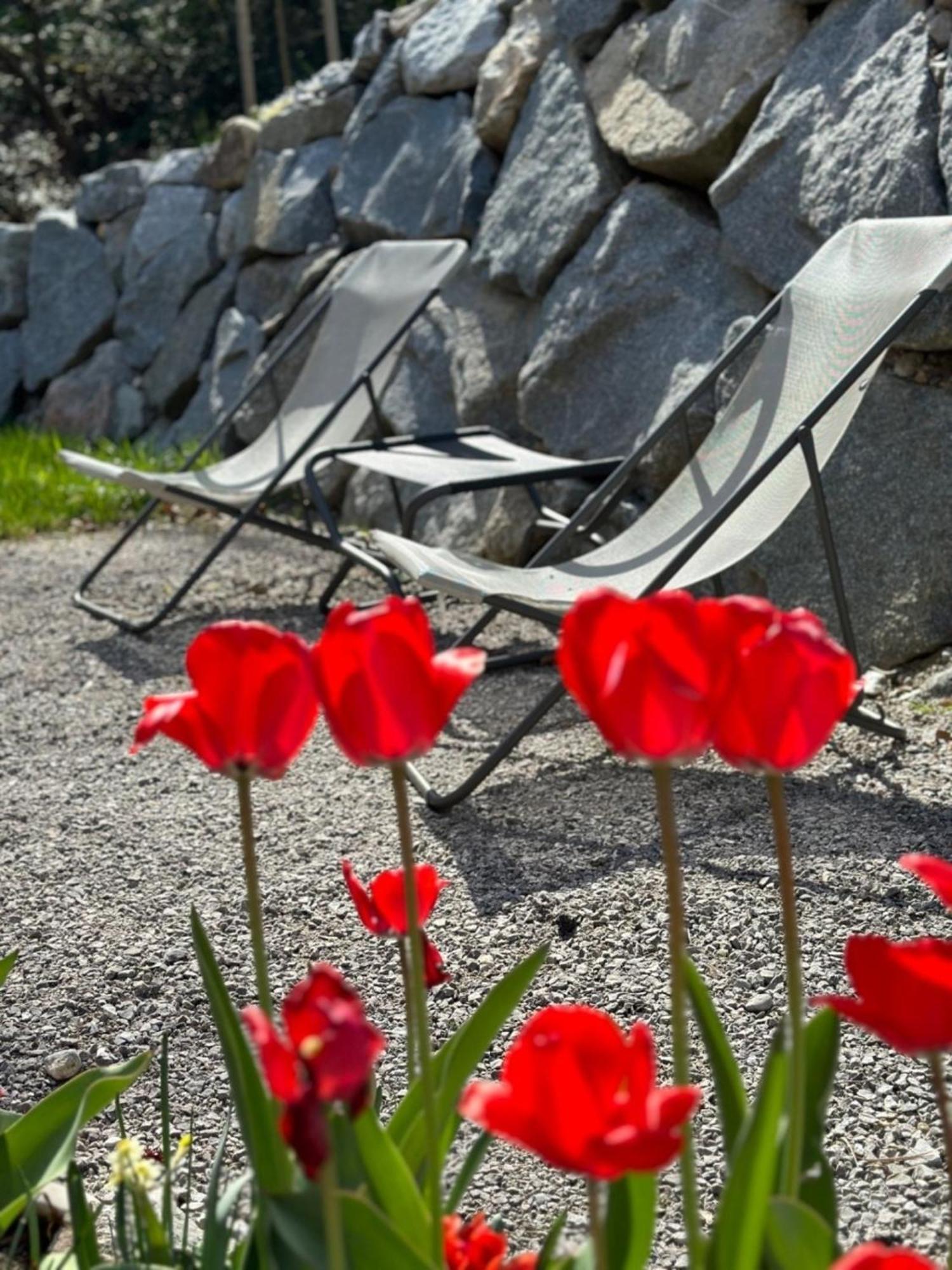 Chalet22 Beim Floesserhaus In Beuerberg Eurasburg Екстер'єр фото